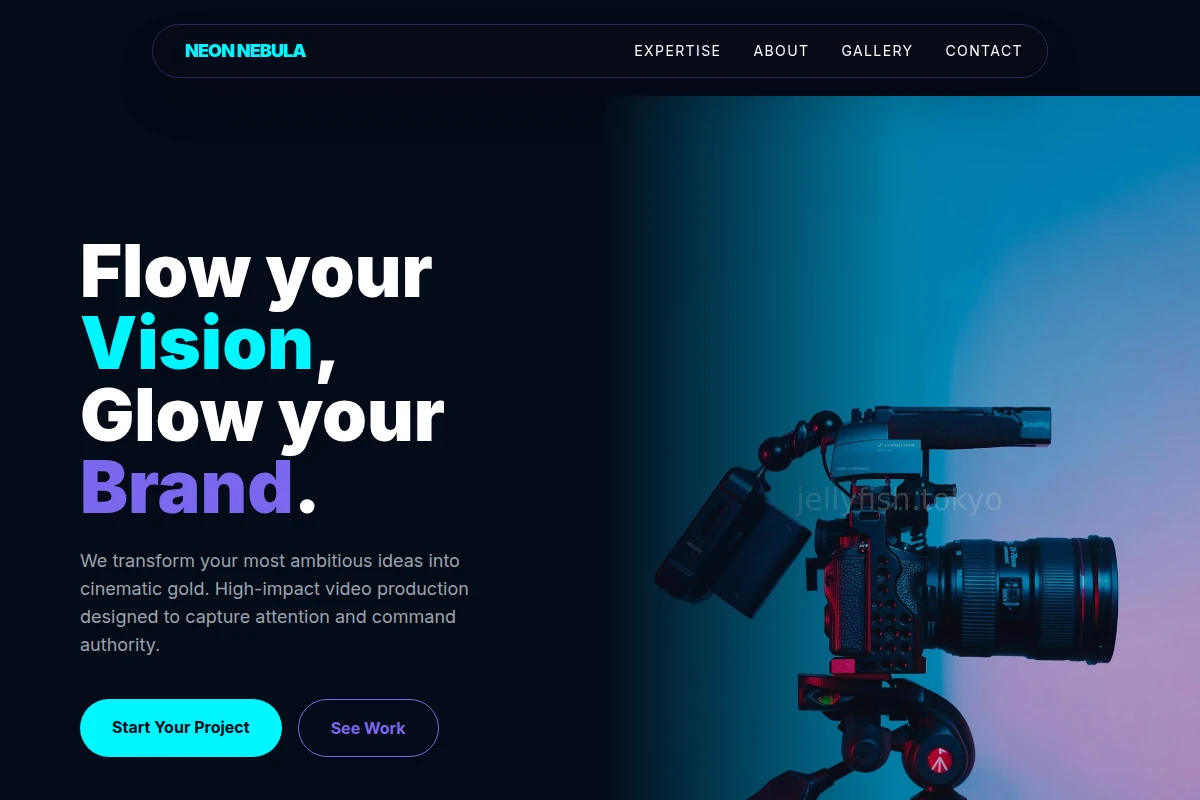Vector Video Production